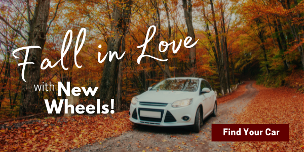 Auto Link November 2025